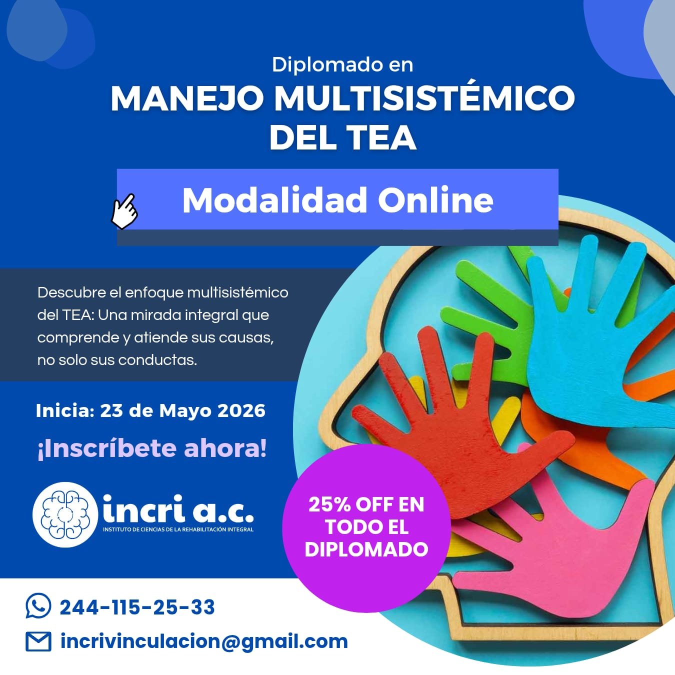 Diplomado en Manejo Multisistémico del TEA